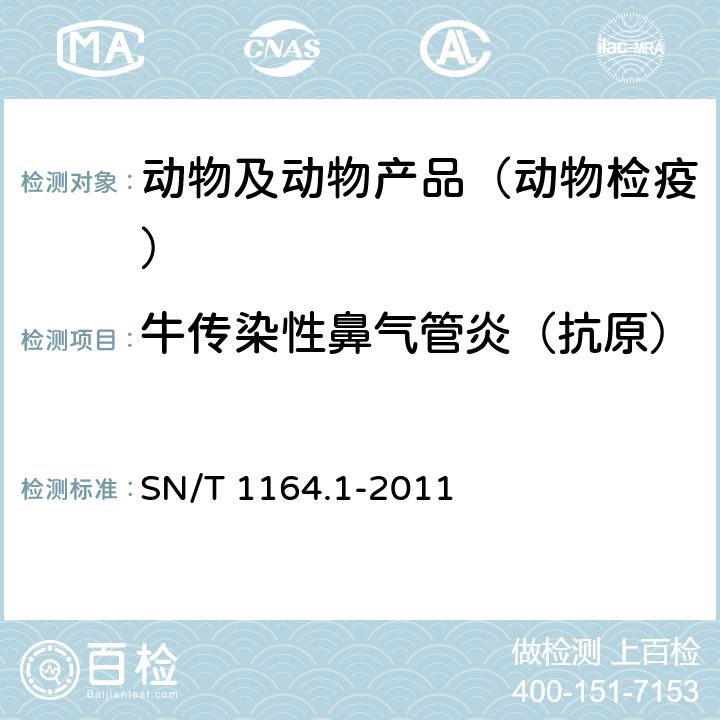 牛传染性鼻气管炎（抗原） SN/T 1164.1-2011 牛传染性鼻气管炎检疫技术规范