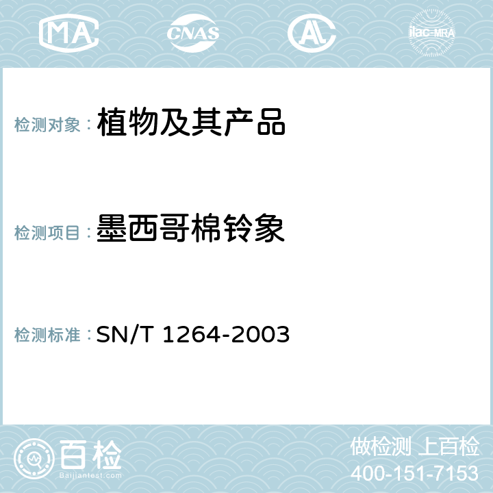 墨西哥棉铃象 墨西哥棉铃象检疫鉴定方法 SN/T 1264-2003