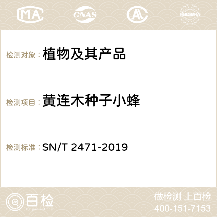黄连木种子小蜂 落叶松种子小蜂与黄连木种子小蜂检疫鉴定方法 SN/T 2471-2019