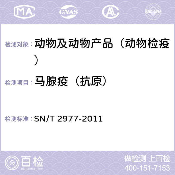 马腺疫（抗原） SN/T 2977-2011 马腺疫检疫技术规范