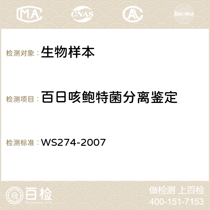 百日咳鲍特菌分离鉴定 百日咳诊断标准 WS274-2007 附录B.1.2-1.3