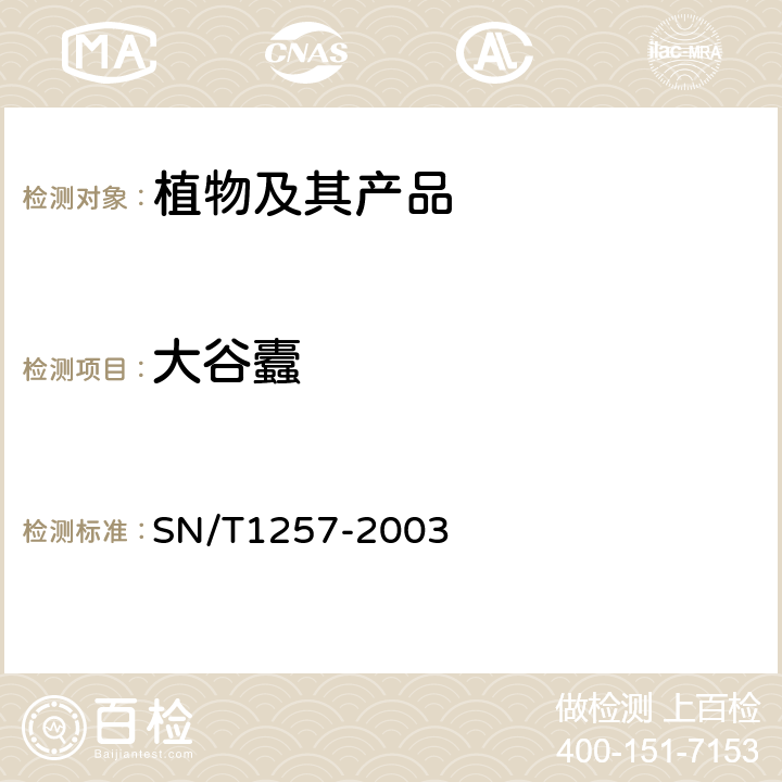 大谷蠹 大谷蠹的检疫鉴定方法 SN/T1257-2003
