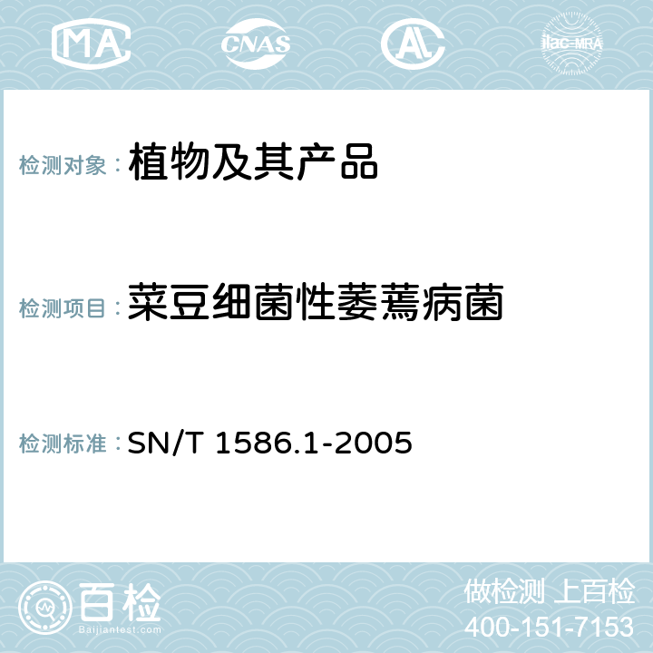 菜豆细菌性萎蔫病菌 菜豆细菌性萎蔫病菌检测方法 SN/T 1586.1-2005