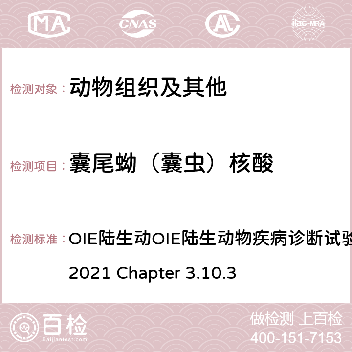 囊尾蚴（囊虫）核酸 囊虫病 OIE陆生动OIE陆生动物疾病诊断试验和疫苗标准手册，2021 Chapter 3.10.3