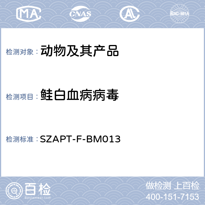 鲑白血病病毒 SZAPT-F-BM013 的检测方法 