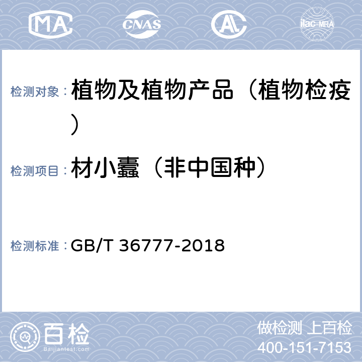 材小蠹（非中国种） 材小蠹（非中国种）检疫鉴定方法 GB/T 36777-2018