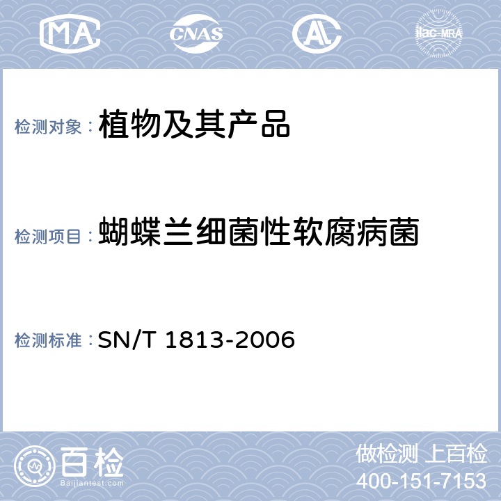 蝴蝶兰细菌性软腐病菌 SN/T 1813-2006 蝴蝶兰细菌性软腐病菌检疫鉴定方法