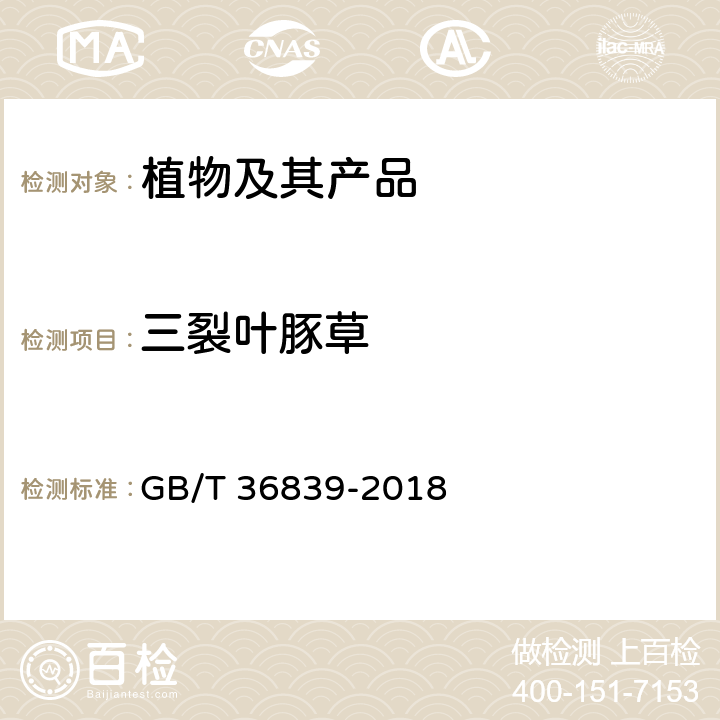 三裂叶豚草 豚草属检疫鉴定方法 GB/T 36839-2018