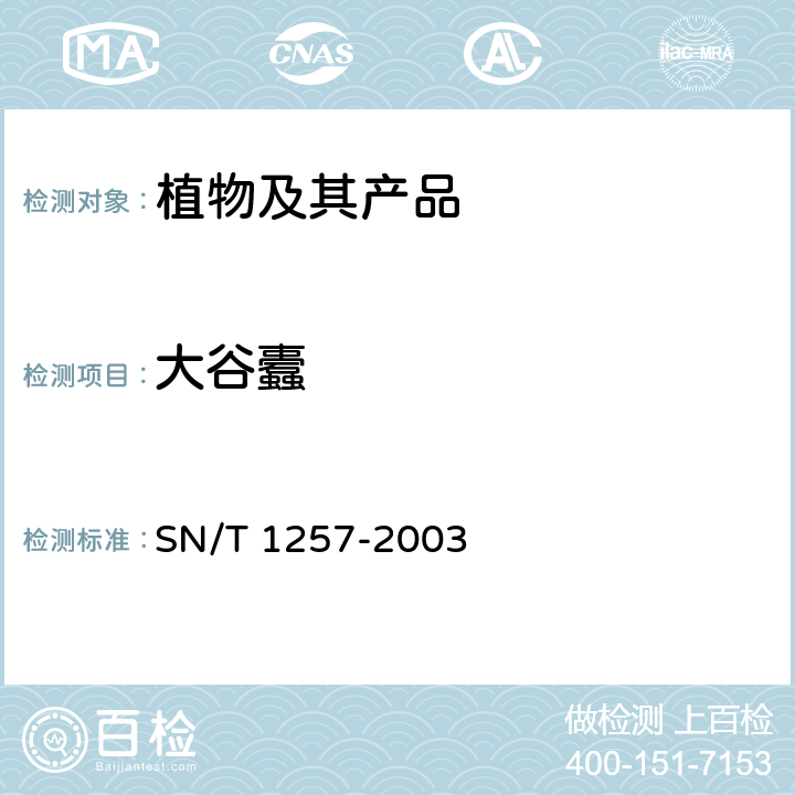 大谷蠹 大谷蠹的检疫和鉴定方法 SN/T 1257-2003
