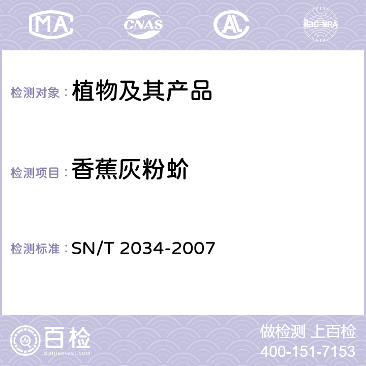 香蕉灰粉蚧 香蕉灰粉蚧和新菠萝灰粉蚧检疫鉴定方法 SN/T 2034-2007