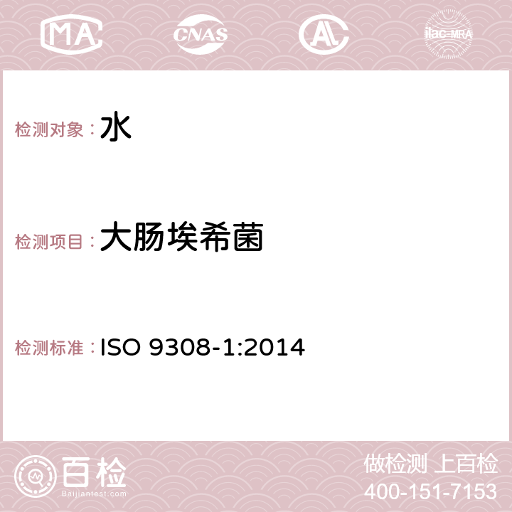 大肠埃希菌 水质—大肠杆菌和大肠菌群的计数 第1部分：滤膜法 ISO 9308-1:2014