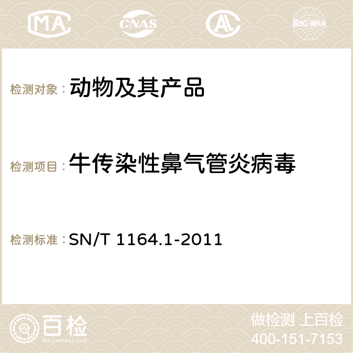 牛传染性鼻气管炎病毒 SN/T 1164.1-2011 牛传染性鼻气管炎检疫技术规范
