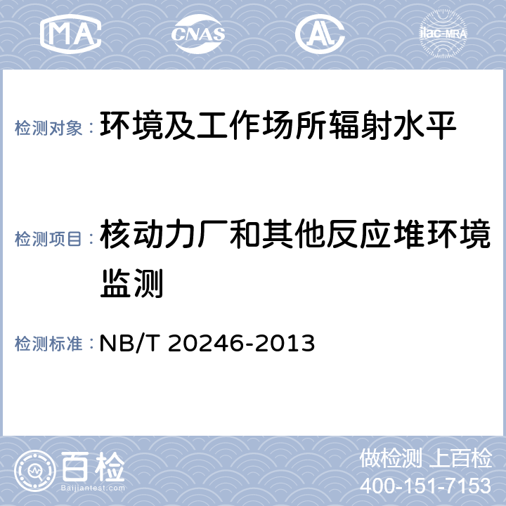 核动力厂和其他反应堆环境监测 核电厂环境辐射监测规定 NB/T 20246-2013
