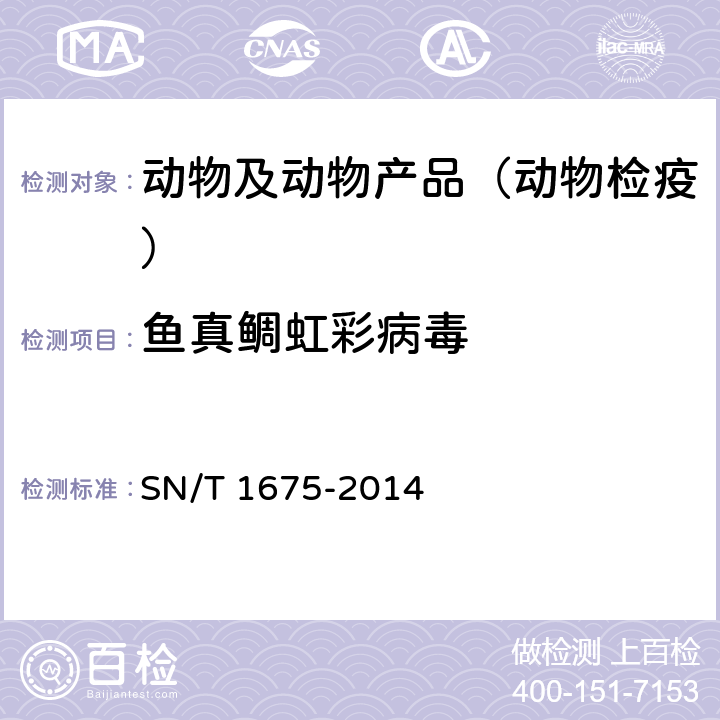 鱼真鲷虹彩病毒 SN/T 1675-2014 真鲷虹彩病毒病检疫技术规范