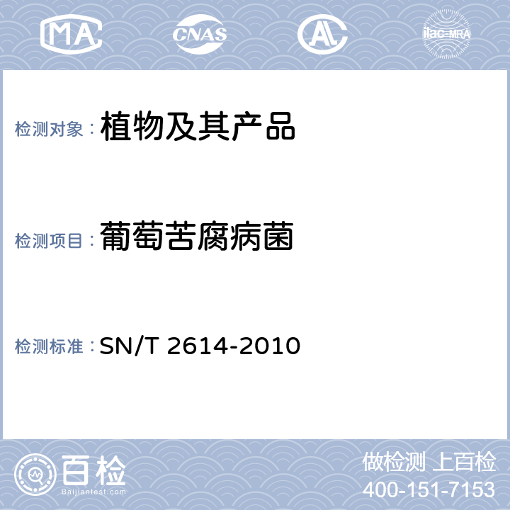 葡萄苦腐病菌 葡萄苦腐病菌检疫鉴定方法 SN/T 2614-2010