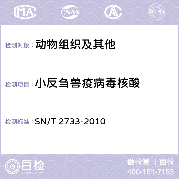 小反刍兽疫病毒核酸 小反刍兽疫检疫技术规范 SN/T 2733-2010