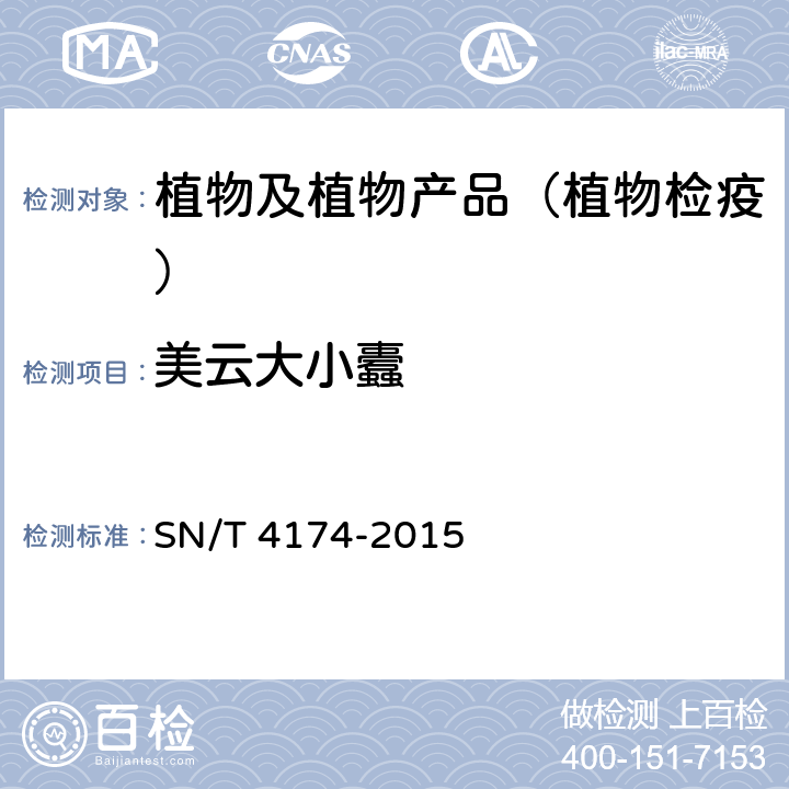 美云大小蠹 美云大小蠹检疫鉴定方法 SN/T 4174-2015