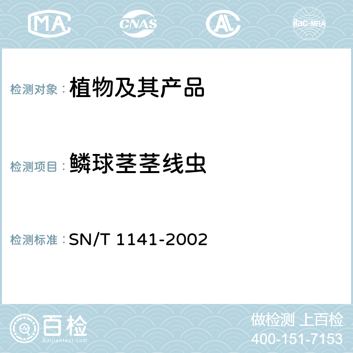 鳞球茎茎线虫 鳞球茎茎线虫检疫鉴定方法 SN/T 1141-2002