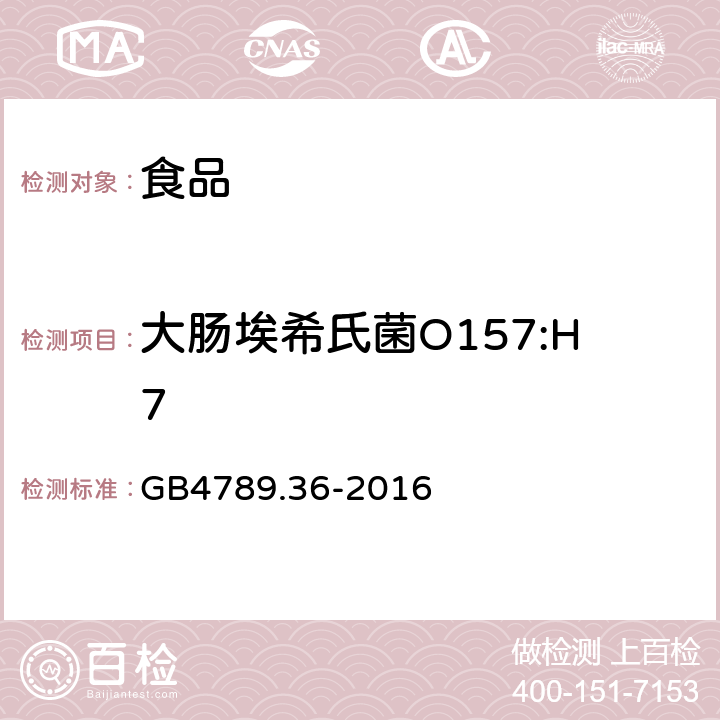 大肠埃希氏菌O157:H7 食品安全国家标准食品微生物学检验大肠埃希氏菌O157:H7/MN检验 GB4789.36-2016