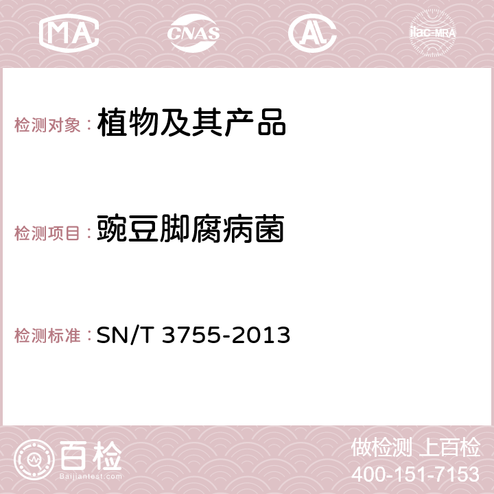 豌豆脚腐病菌 豌豆脚腐病菌检疫鉴定方法 SN/T 3755-2013