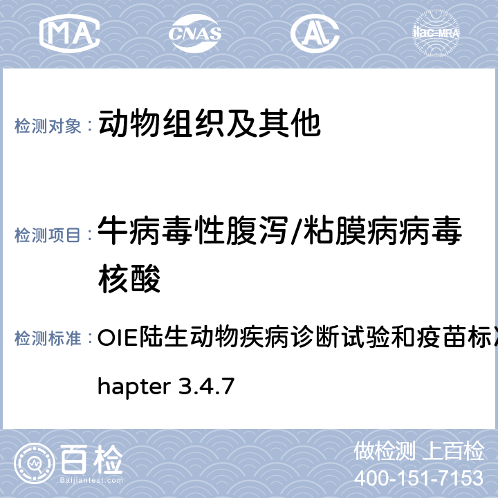 牛病毒性腹泻/粘膜病病毒核酸 牛病毒性腹泻/粘膜病 OIE陆生动物疾病诊断试验和疫苗标准手册，2015 Chapter 3.4.7