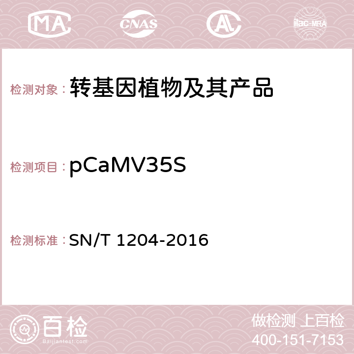 pCaMV35S 植物及其加工产品中转基因成分实时荧光PCR定性检验方法 SN/T 1204-2016