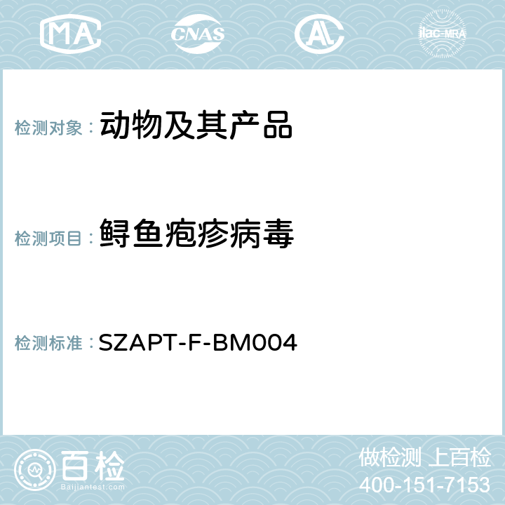 鲟鱼疱疹病毒 SZAPT-F-BM004 (SHV)检测方法 