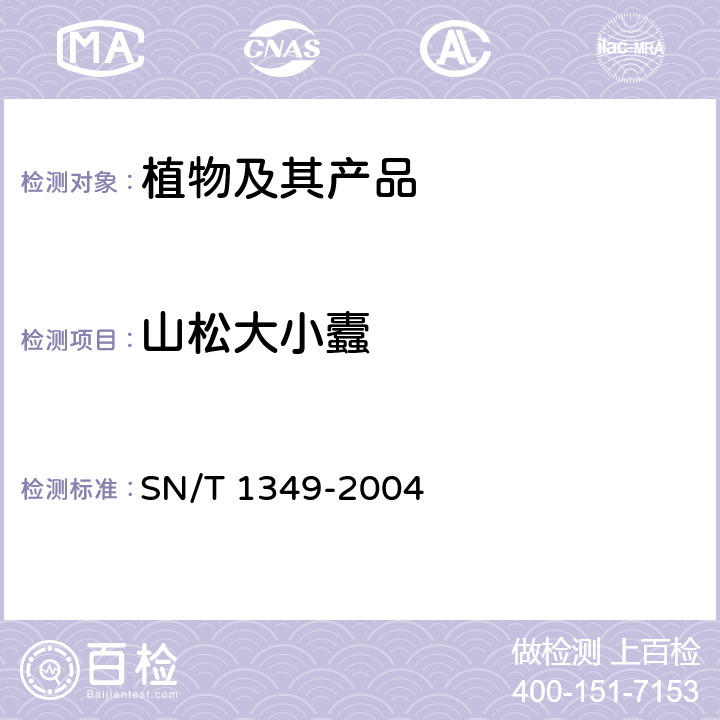 山松大小蠹 SN/T 1349-2004 山松大小蠹检疫鉴定方法