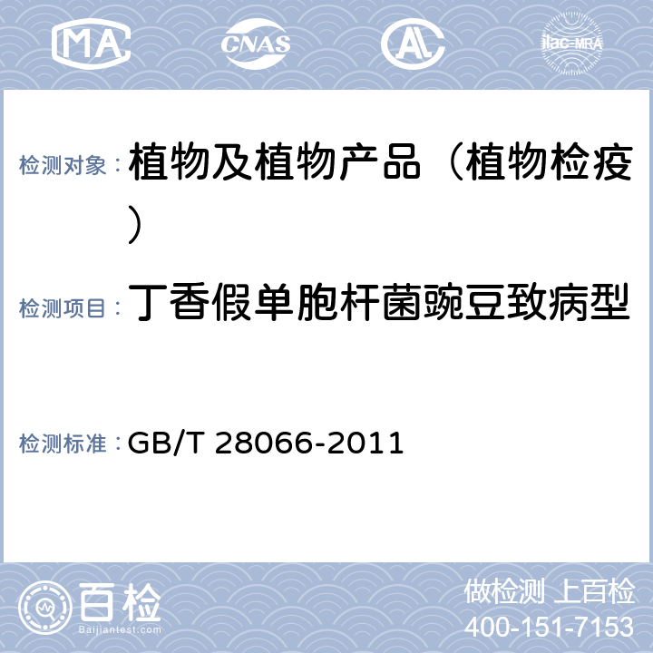 丁香假单胞杆菌豌豆致病型 GB/T 28066-2011 丁香假单胞杆菌豌豆致病型检疫鉴定方法