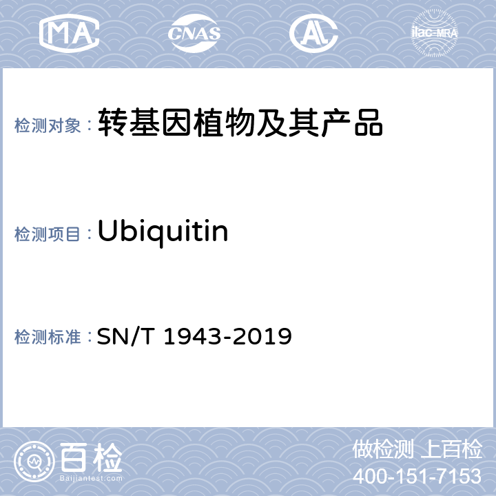 Ubiquitin 小麦及其制品中转基因成分普通PCR和实时荧光PCR定性检测方法 SN/T 1943-2019