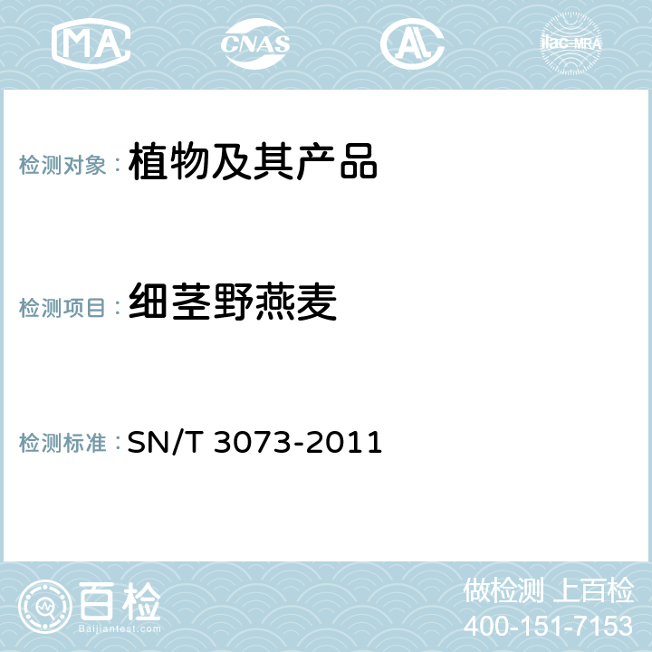 细茎野燕麦 细茎野燕麦检疫鉴定方法 SN/T 3073-2011