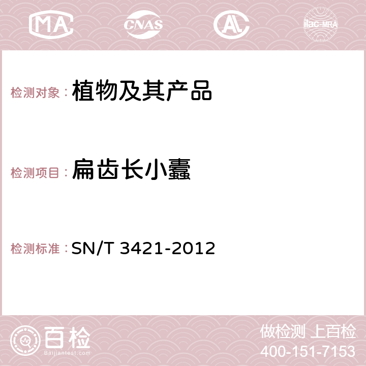 扁齿长小蠹 长小蠹（属）（非中国种）检疫鉴定方法 SN/T 3421-2012