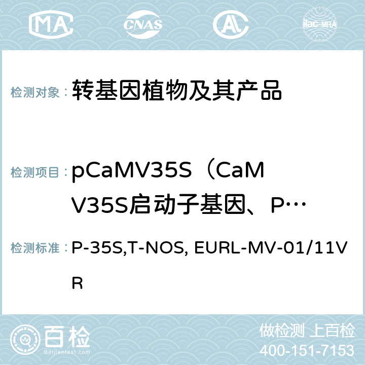 pCaMV35S（CaMV35S启动子基因、P-35S基因） P-35S,T-NOS, EURL-MV-01/11VR 应用P-35S,T-NOS和CryIAb/Ac的实时PCR方法检测中国转基因大米成分的修订指南 EURL-MV-01/11VRrev1（2014）