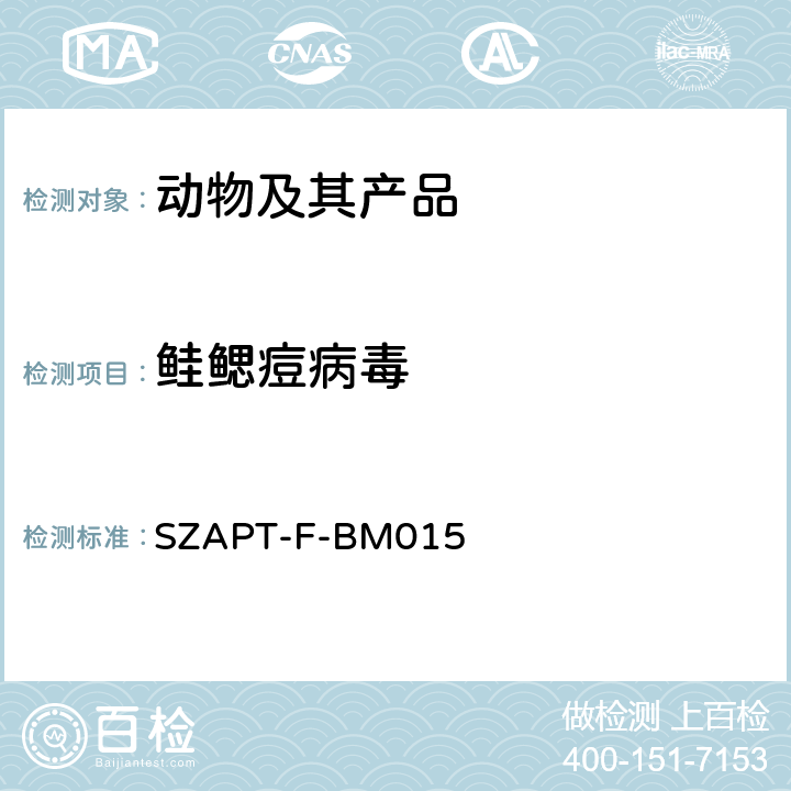 鲑鳃痘病毒 SZAPT-F-BM015 的检测方法 