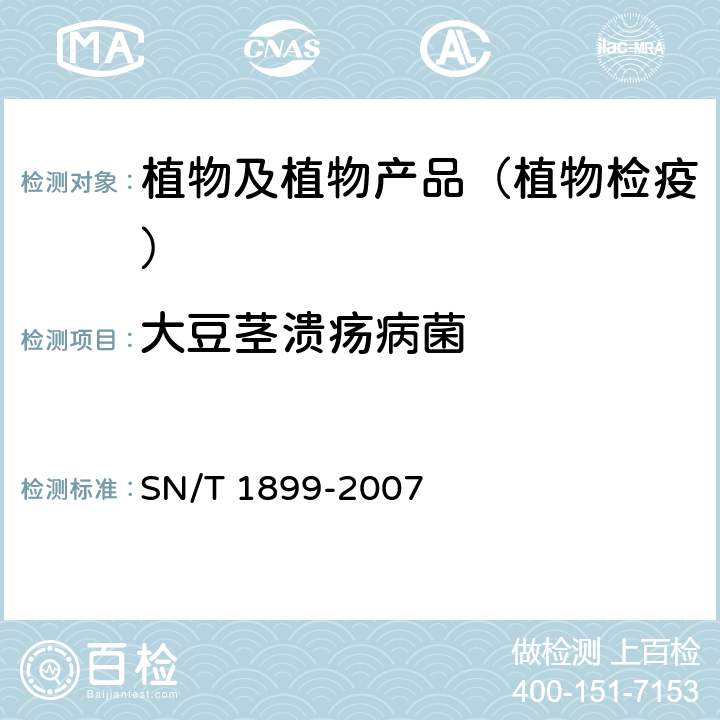 大豆茎溃疡病菌 大豆茎溃疡病菌检疫鉴定方法 SN/T 1899-2007