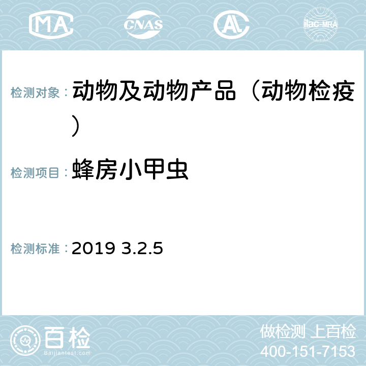 蜂房小甲虫 OIE《陆生动物诊断实验手册》2019 3.2.5