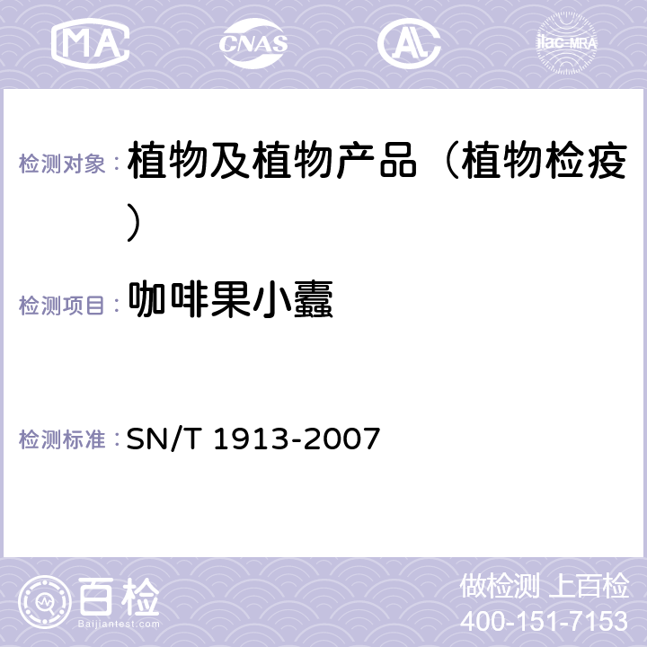 咖啡果小蠹 咖啡果小蠹检疫鉴定方法 SN/T 1913-2007
