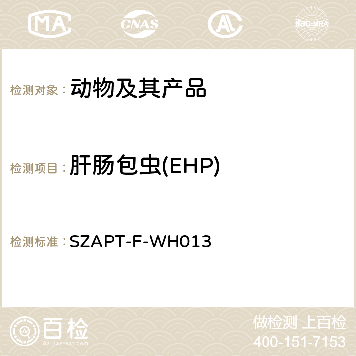 肝肠包虫(EHP) 肝肠胞虫（EHP）检测方法 SZAPT-F-WH013
