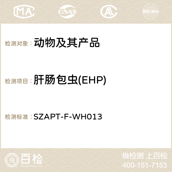 肝肠包虫(EHP) SZAPT-F-WH013 肝肠胞虫（EHP）检测方法 