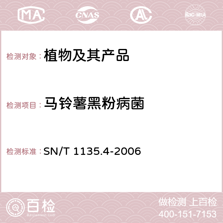 马铃薯黑粉病菌 马铃薯黑粉病菌检疫鉴定方法 SN/T 1135.4-2006