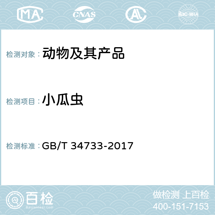 小瓜虫 淡水鱼类小瓜虫诊断规程 GB/T 34733-2017