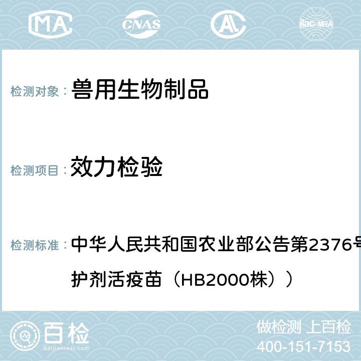 效力检验 细胞法 中华人民共和国农业部公告第2376号（猪伪狂犬病耐热保护剂活疫苗（HB2000株））