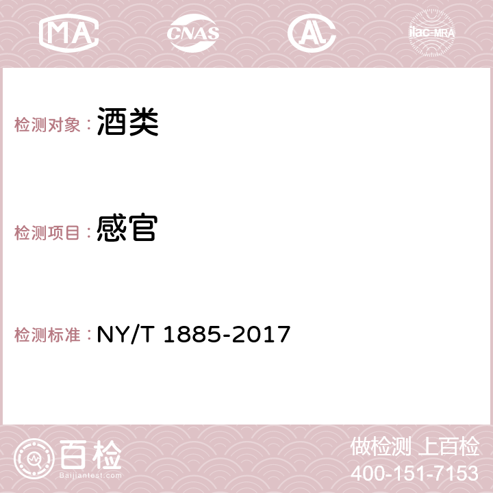 感官 绿色食品 米酒 NY/T 1885-2017 5.3