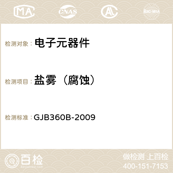 盐雾（腐蚀） 电子及电气元件试验方法 GJB360B-2009 方法101