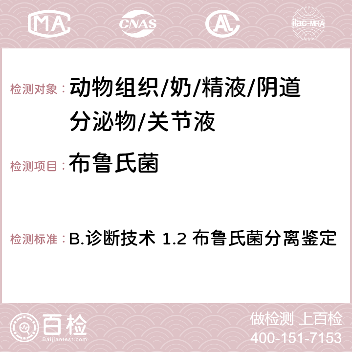 布鲁氏菌 《OIE陆生动物诊断试验和疫苗手册》（2018年版） B.诊断技术 1.2 布鲁氏菌分离鉴定