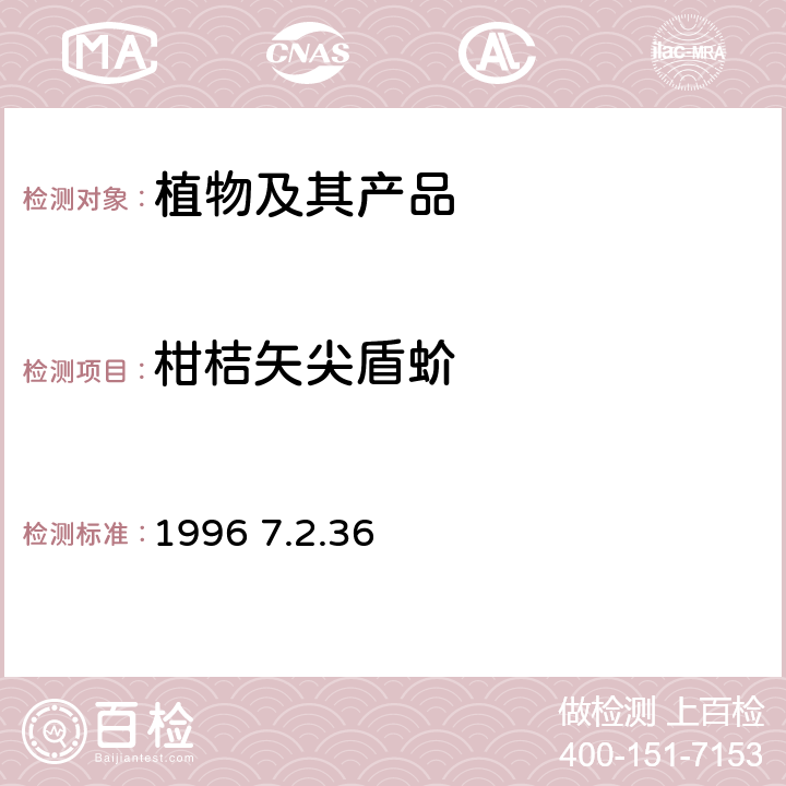 柑桔矢尖盾蚧 《中国进出境植物检疫手册》 1996 7.2.36