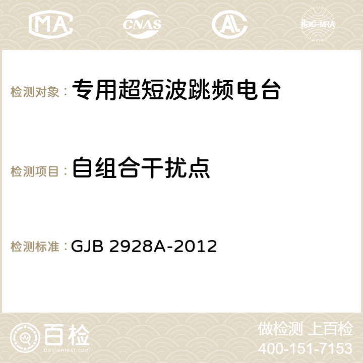 自组合干扰点 战术超短波跳频电台通用规范 GJB 2928A-2012 4.7.4.16