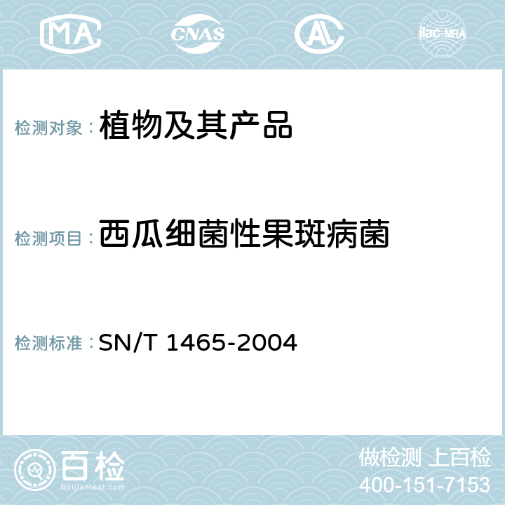 西瓜细菌性果斑病菌 西瓜细菌性果斑病菌检疫鉴定方法 SN/T 1465-2004