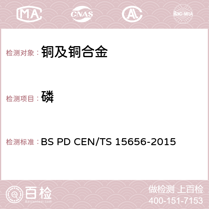 磷 铜及铜合金 磷含量的测定 分光光度法 BS PD CEN/TS 15656-2015
