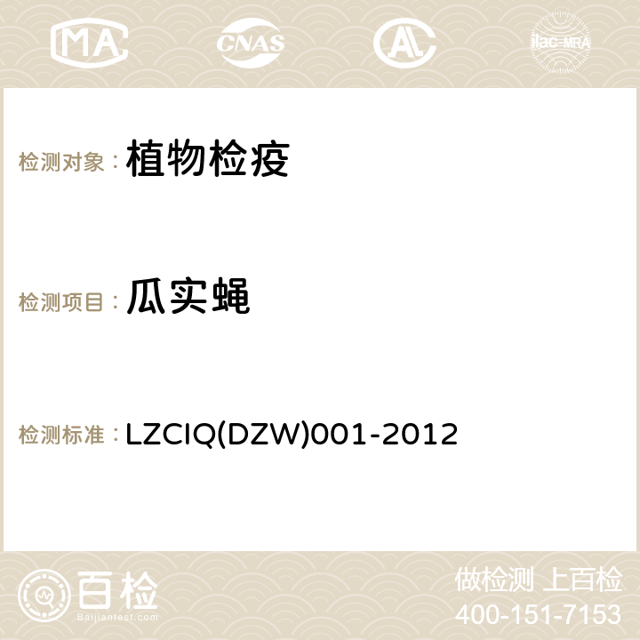 瓜实蝇 中国进出境植物检疫手册-7.1.41.28 LZCIQ(DZW)001-2012